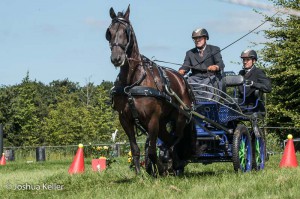 dressuur en vaardigheid  nienoord 10-8-2015  joshua keller-0164      